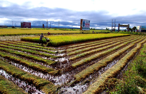 Tây Nguyên đồng hành cùng nhà đầu tư